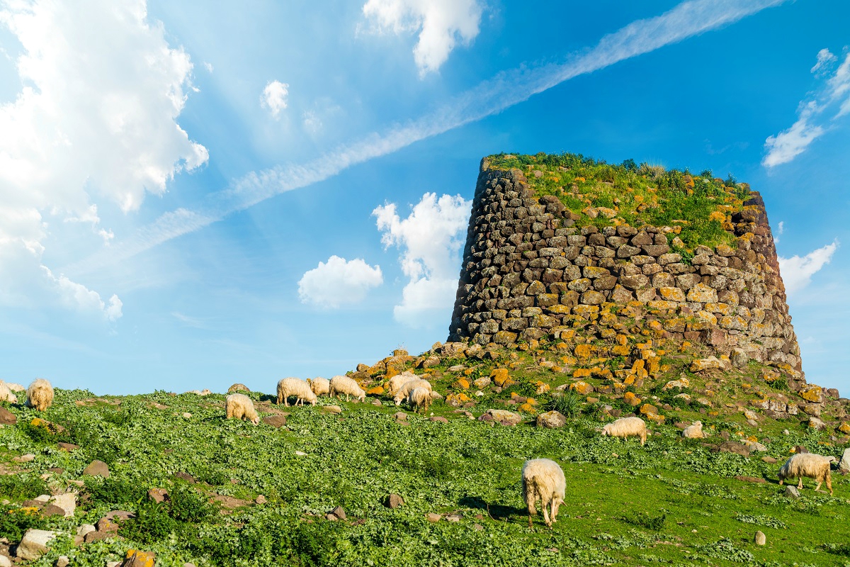 shutterstock_1278175324-1.jpg