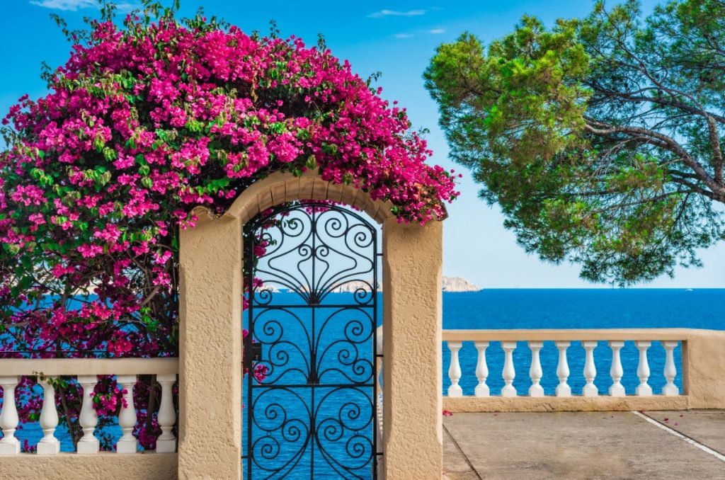 Kolo_Menorca_0021