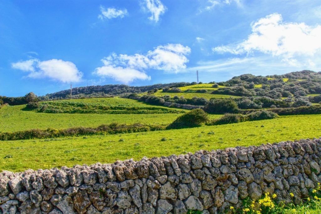 Krásnou jarní zelenou si na Menorce užijete plnými doušky.