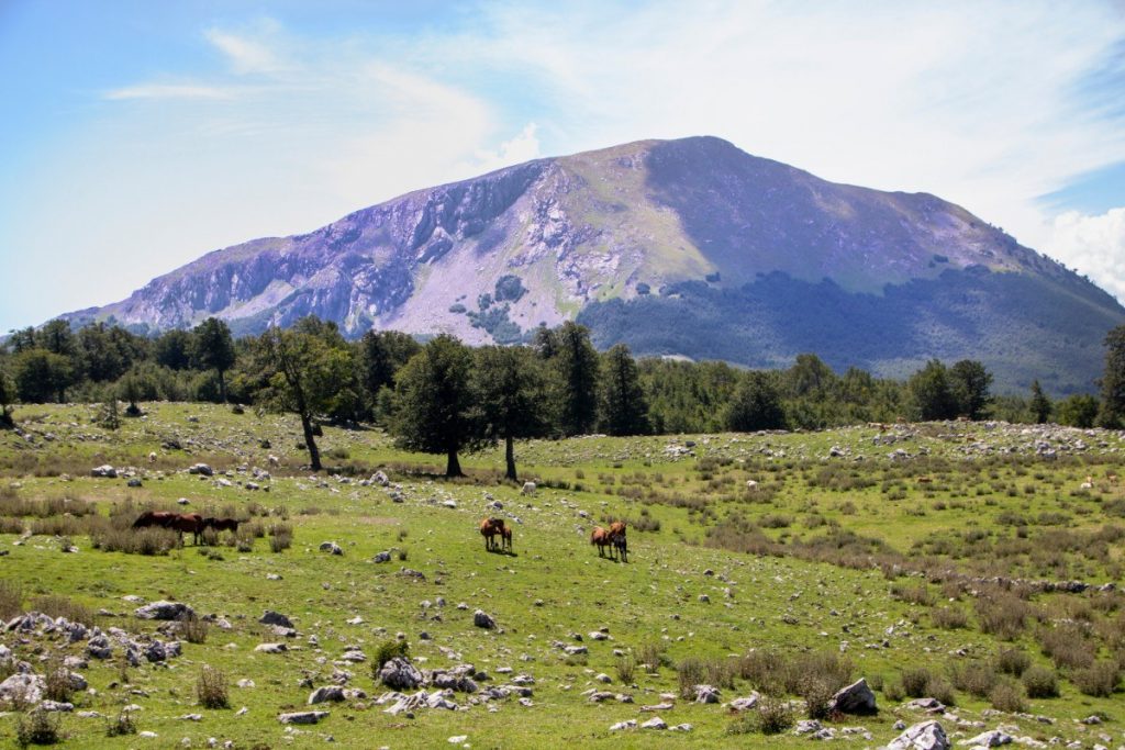 Krajina národního parku Pollino je značně kopcovitá.