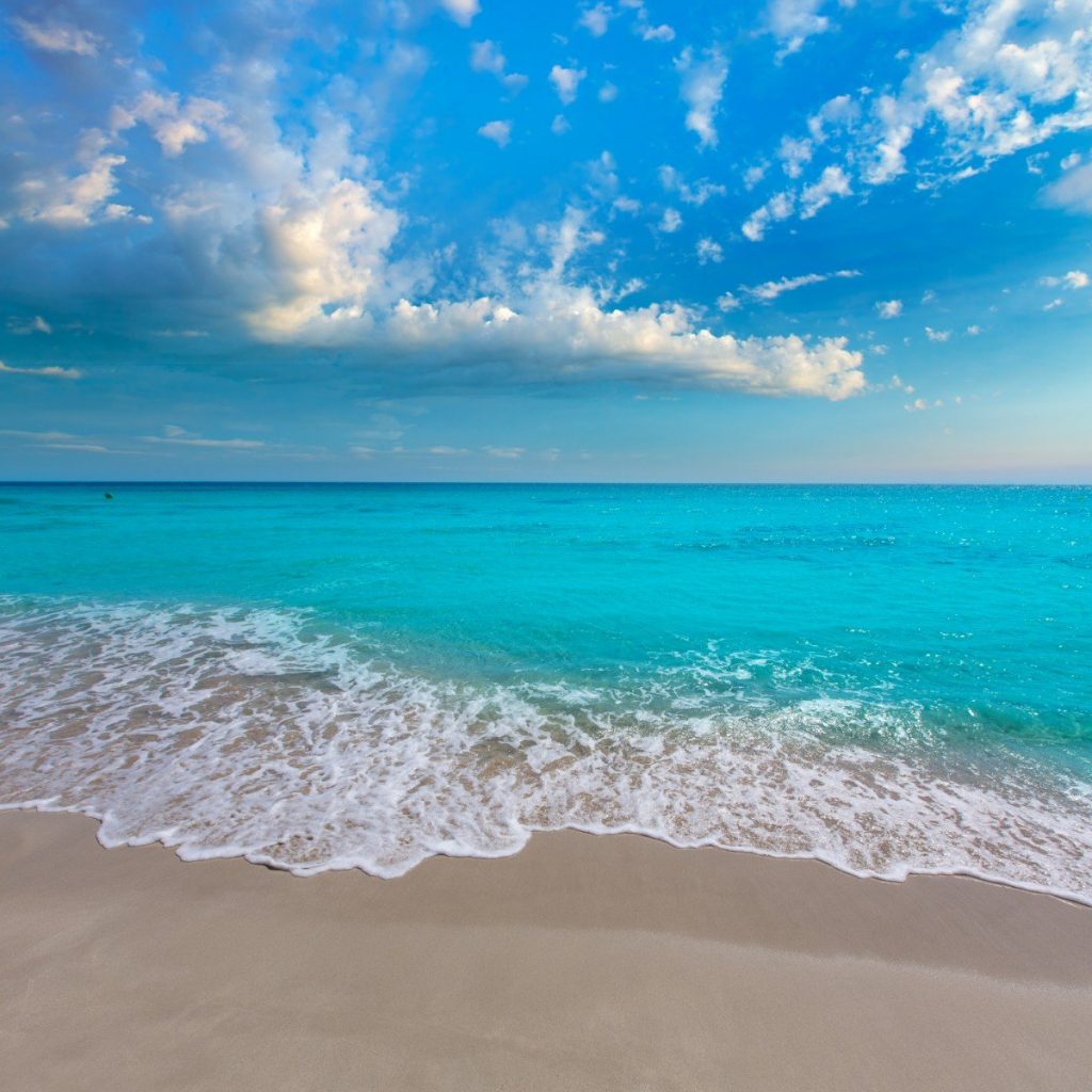 shutterstock_162504068