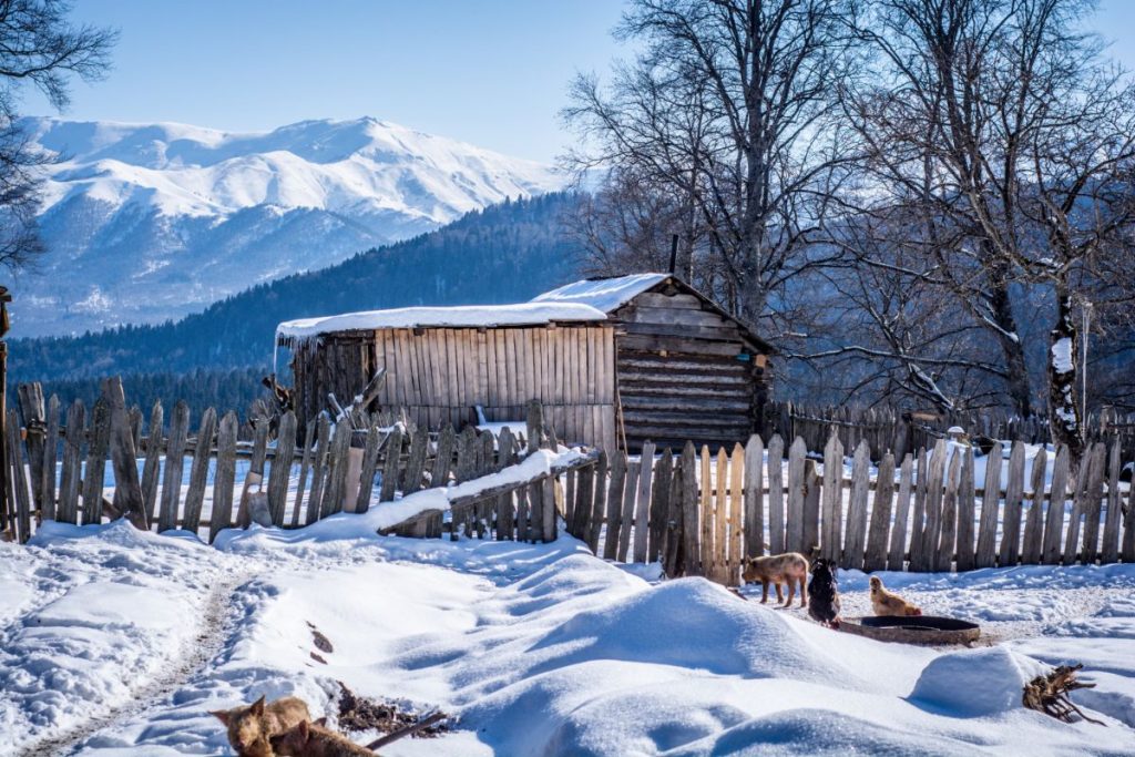 shutterstock_1625643535