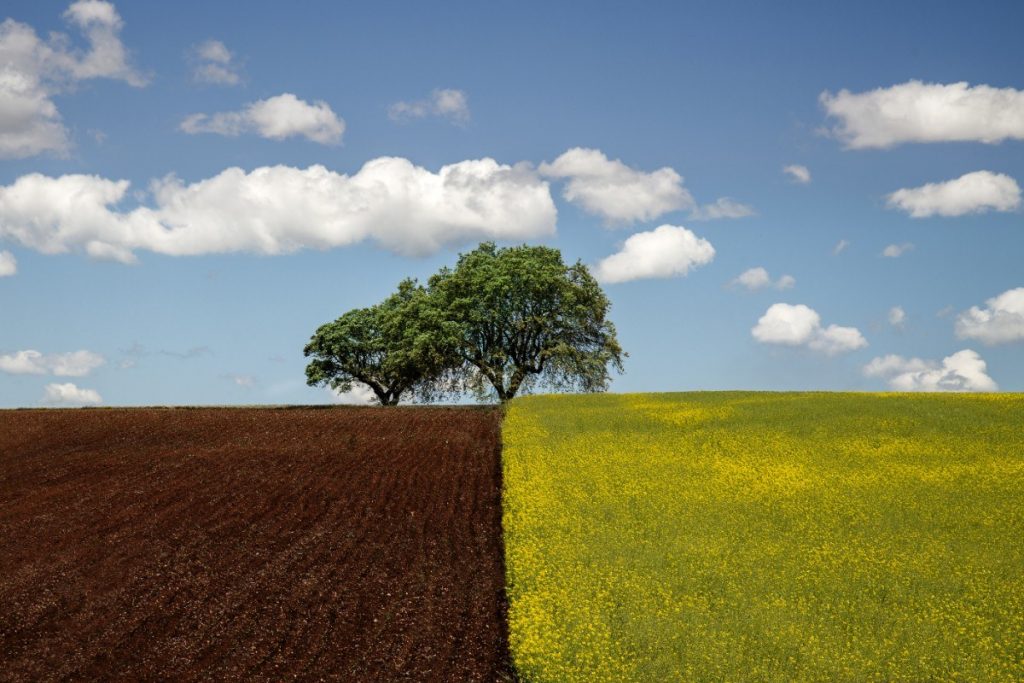shutterstock_418417825