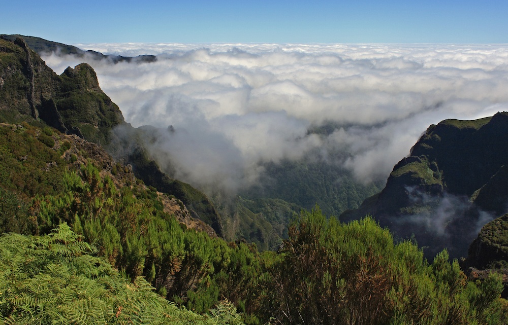 Madeira 55+ pěší turistika pro seniory - foto 1