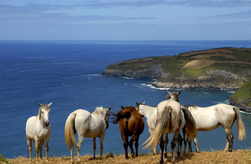 Přírodní ráj uprostřed Atlantiku, Azorské ostrovy - foto 5