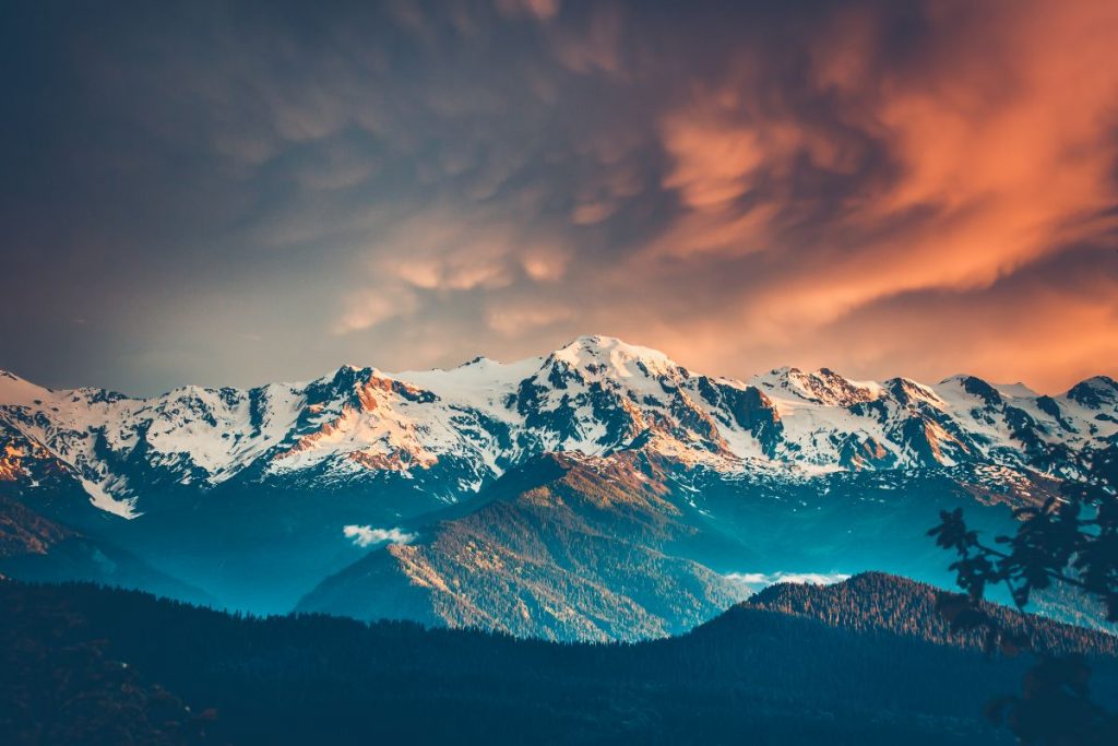shutterstock_754540030