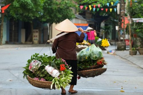 Prodavačka květin cestou na ranní trhy - Hanoj.