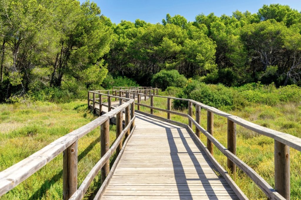 Menorca | s´Albufera des Grau