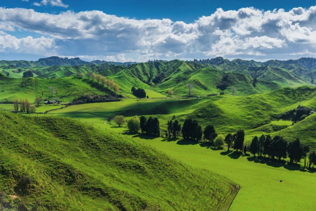 Krása divočiny Nového Zélandu (Shutterstock 1024333363)