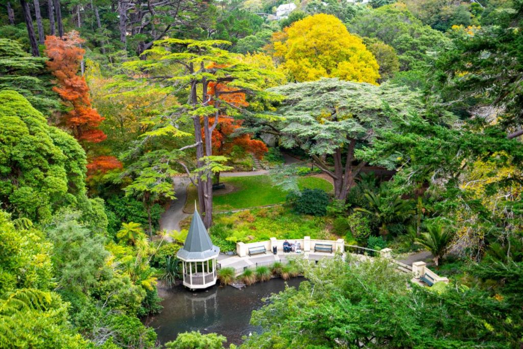 Botanická zahrada ve Wellingtonu - Nový Zéland (Shutterstock 2471329717)