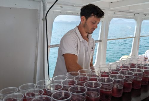 Drink tinto de verano, vám připraví přímo na palubě lodi