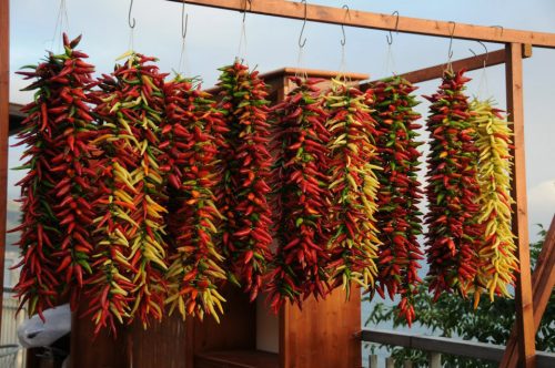 Girlandy z červených chilli papriček patří k symbolům města Diamante a během festivalu vytvářejí jedinečnou podívanou plnou středomořských barev a chutí
