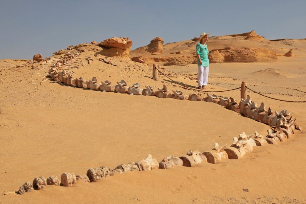 Egypt - Údolí velryb (UNESCO)