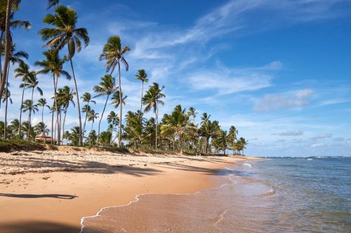 Pláž Praia Do Forte, Brazílie