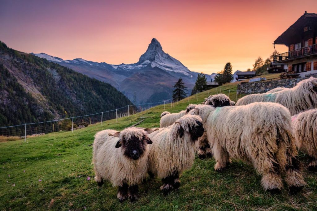 Matterhorn, Švýcarsko