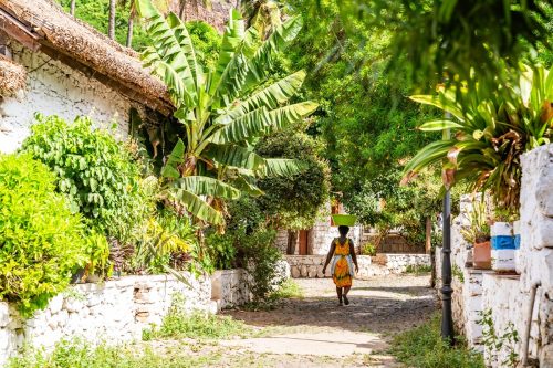 Tradiční ulička v Cidade Velha na ostrově Santiago lemovaná tropickou vegetací a kamennými domy.