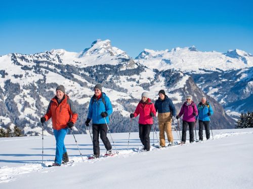 Chůze na sněžnicích k zimní turistice prostě patří