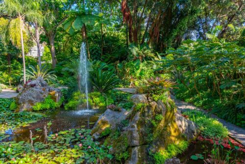 Subtropická zahrada La Mortella s jezírkem a exotickou vegetací na ostrově Ischia.