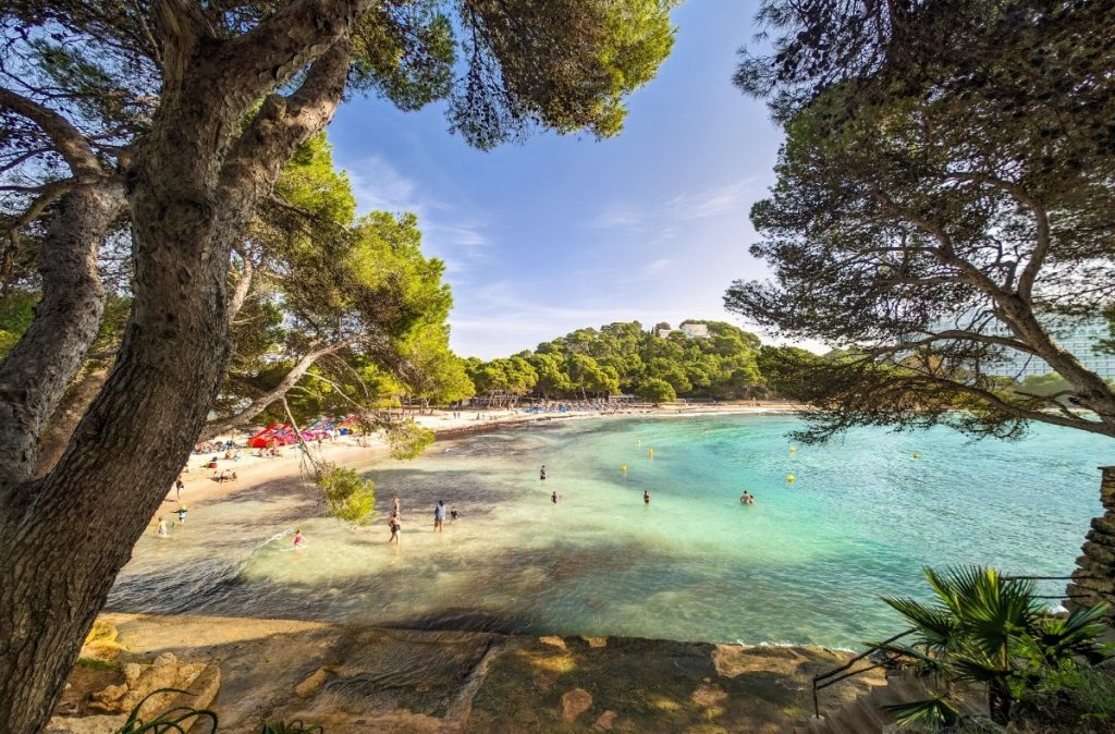 Pláž Cala Galdana se vzrostlými borovicemi , Menorca