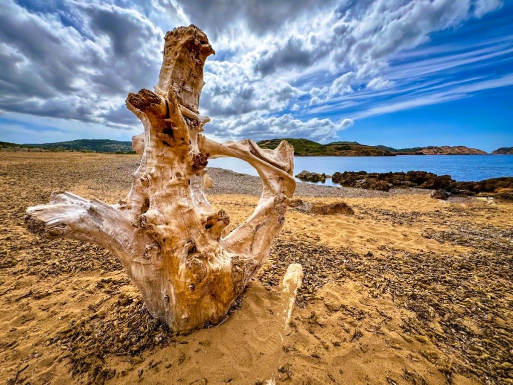 Pláž Binimel-là - Menorca, v popředí mořem vyplavené dřevo